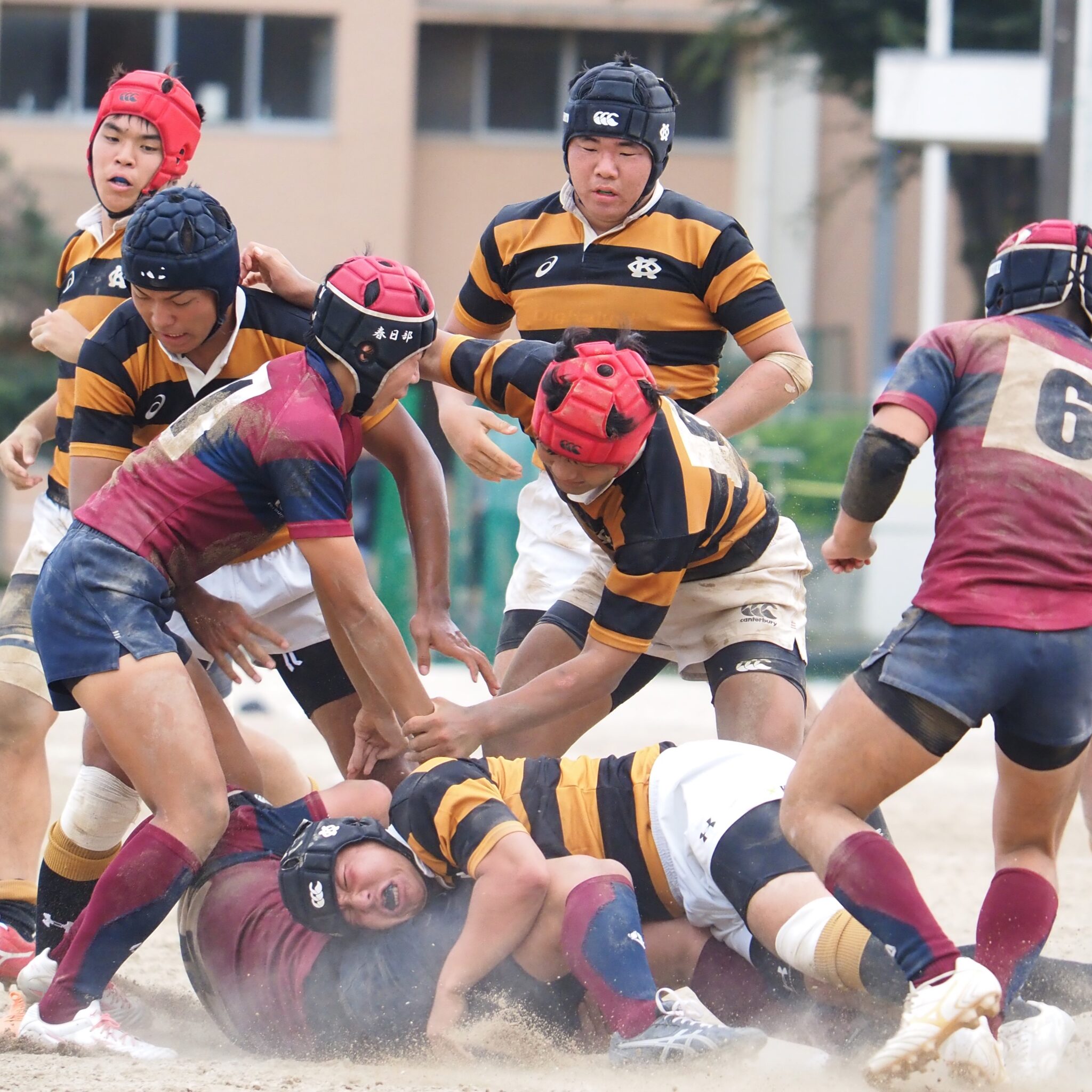 春日部高校(全国高等学校ラグビーフットボール大会 埼玉県予選 春日部高校(全国高等学校ラグビーフットボール大会 埼玉県予選